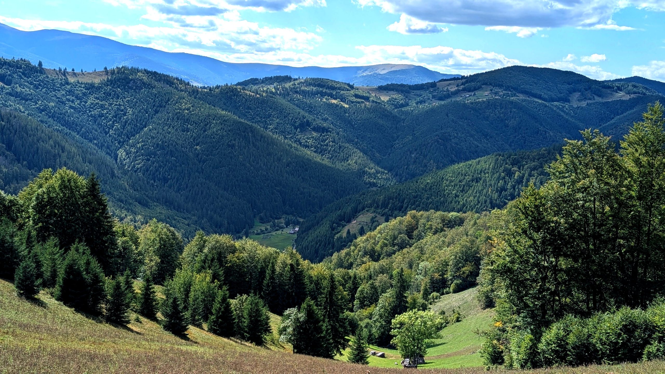 Manos amasando pan artesanal